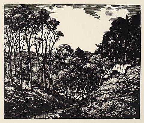 Creek with Trees