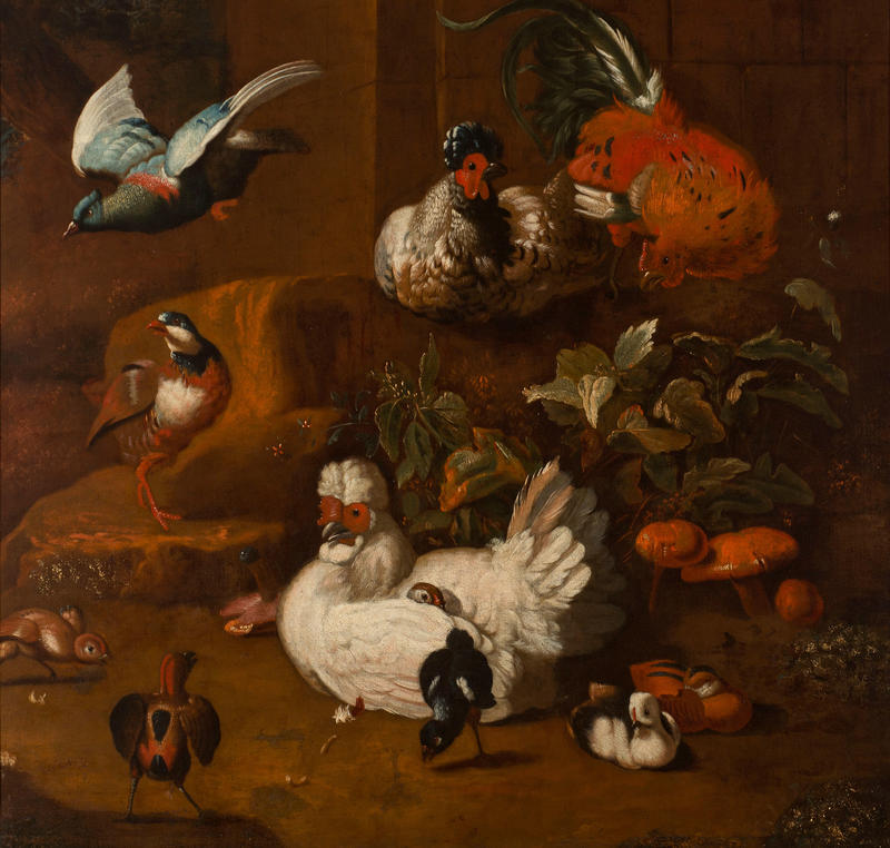 A Gathering of Birds by Melchior d' Hondecoeter