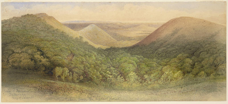 Crater of Poerua, Pakaraka, Bay of Islands by John Kinder