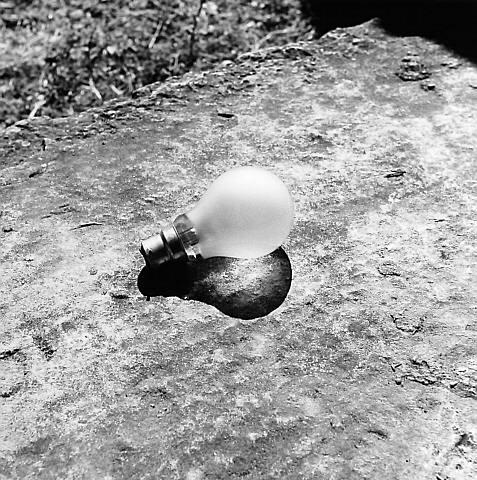 Frosted Bulb in Sun