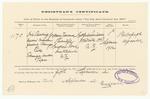 [Copyright Certificate] Maori Maiden feeding Tohunga / Title Tohunga Under Tapu
