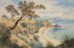 Isle of Kawau, New Zealand image item